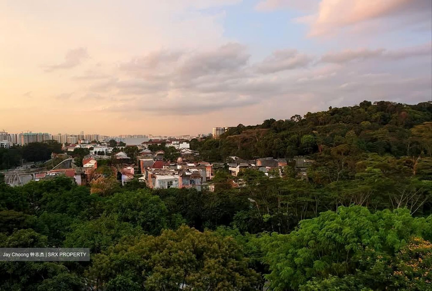 Dunearn Road (D11), Condominium #559103211